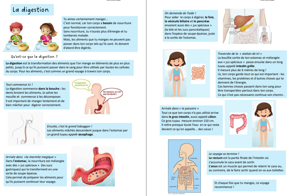La digestion