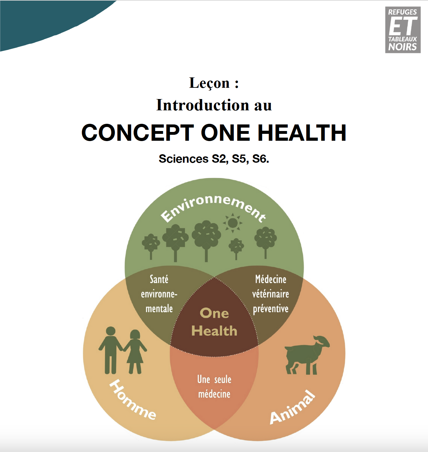 ONE HEALTH - UNE SEULE SANTÉ - Le lien entre santé de l'environnement, des animaux et des humains