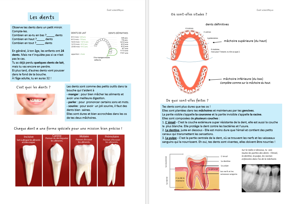 Les dents