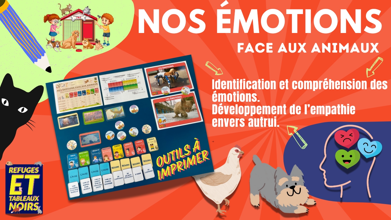 Explorer les émotions et l’empathie : Nos émotions face aux animaux.