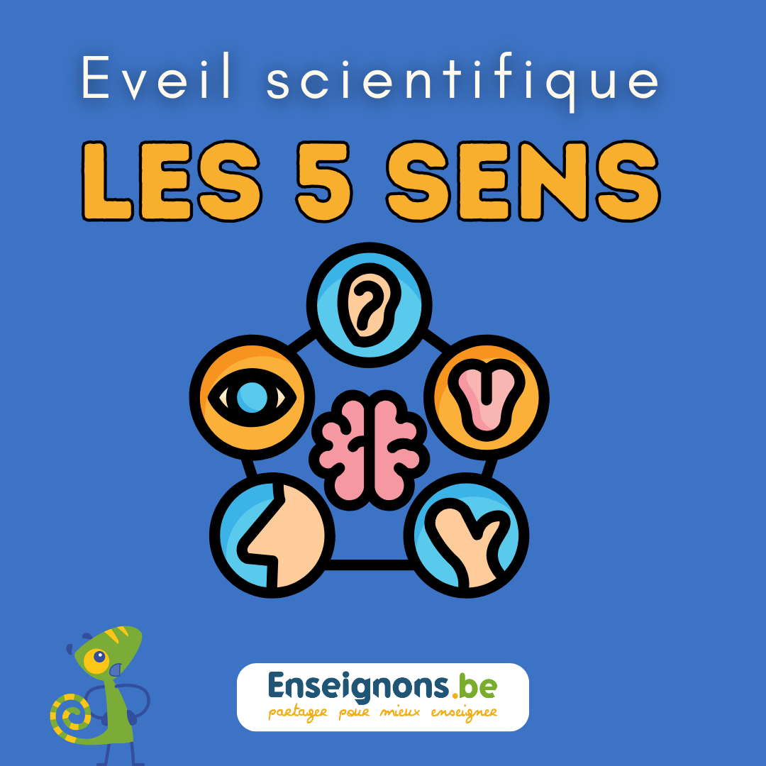 Les 5 sens