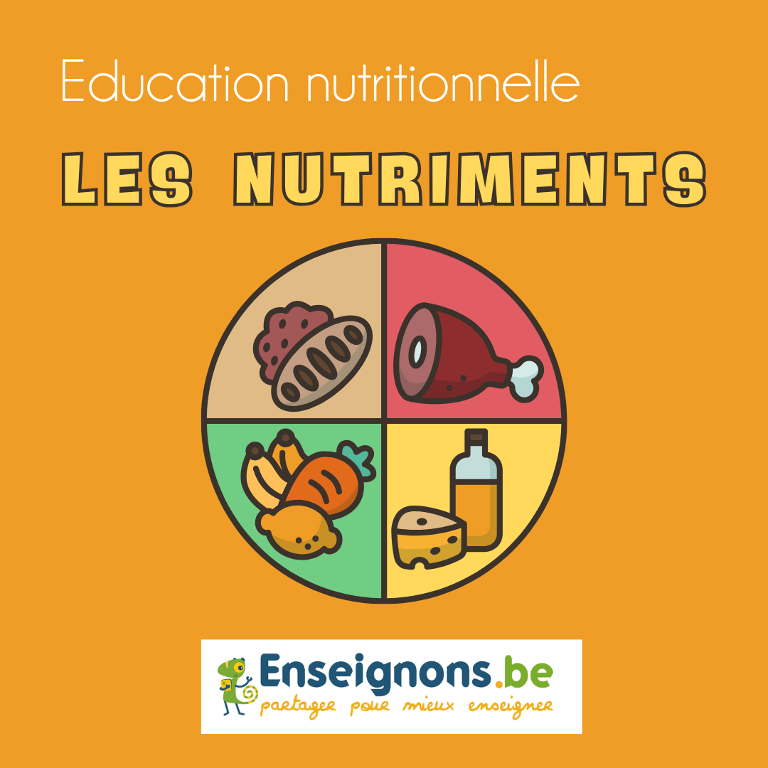 Nutriment énergétique et non énergétique